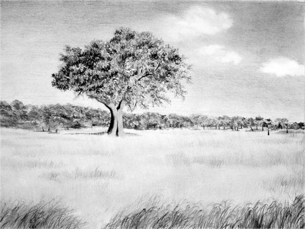 Пейзаж карандашом