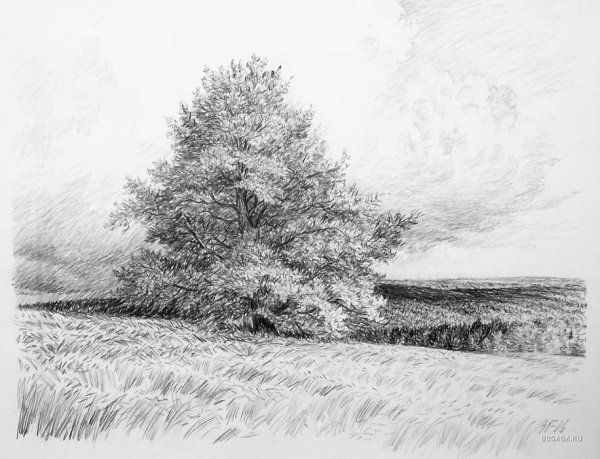 Пейзажи природы карандашом