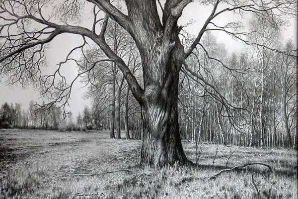 Осенний пейзаж в графике