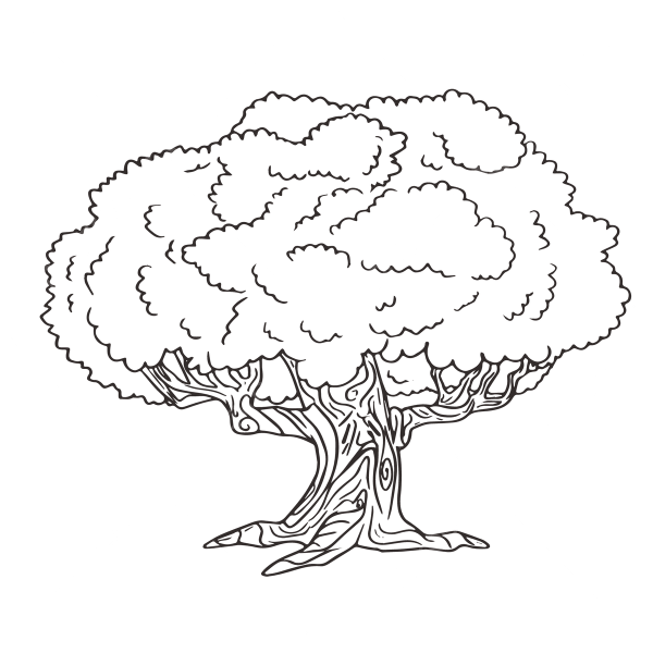 Дерево раскраска