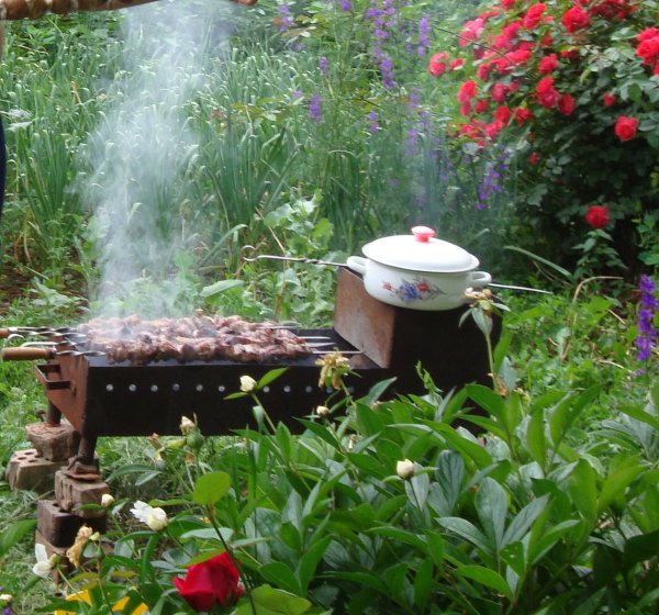 Шашлыки на даче