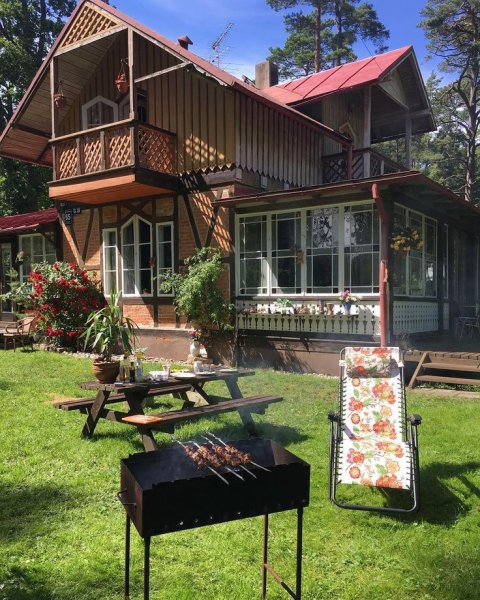 Лето в гамаке