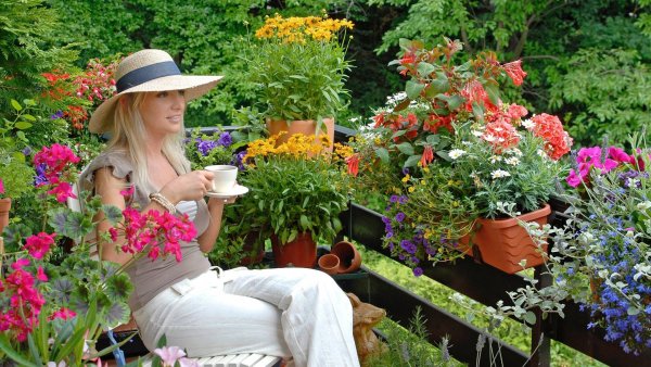 Отдых на даче