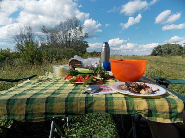 Мандроги пикник-шашлык