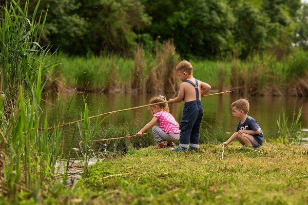 Дети на берегу реки