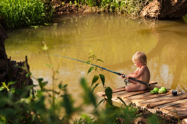 Художник Sally Swatland