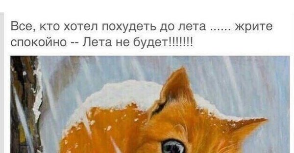 Смешные фразы про Холодное лето