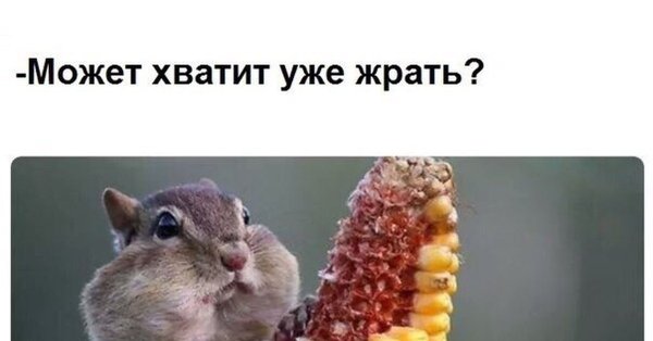 Ну нельзя Нравится всем подряд