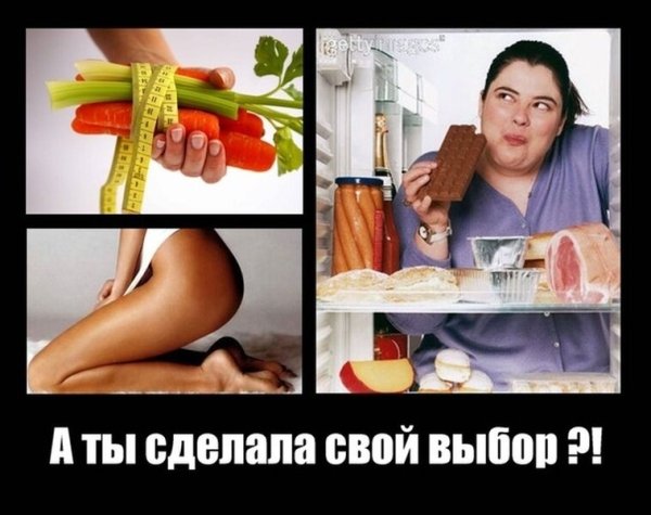 Смешные цитаты про лето