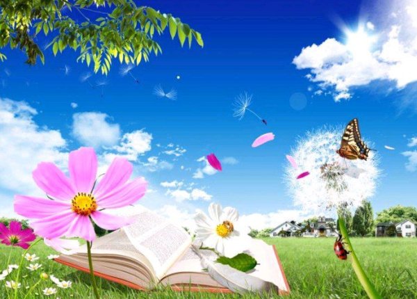 Книжное лето фон