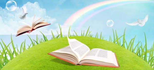 Чтение книг летом