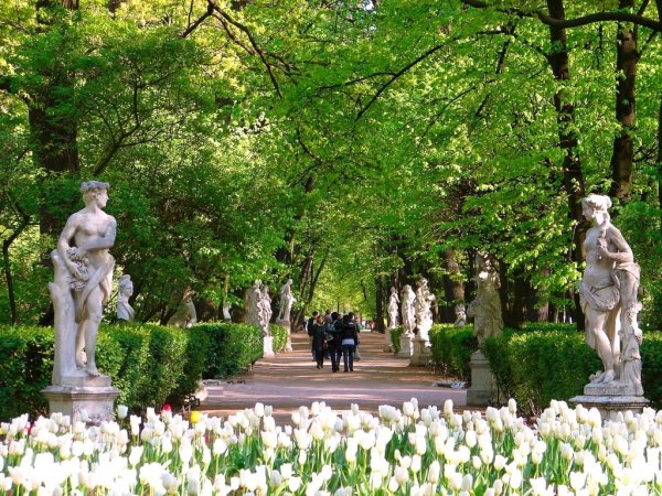 Санкт Петербургский летний сад
