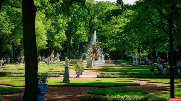 Летний сад в Санкт-Петербурге