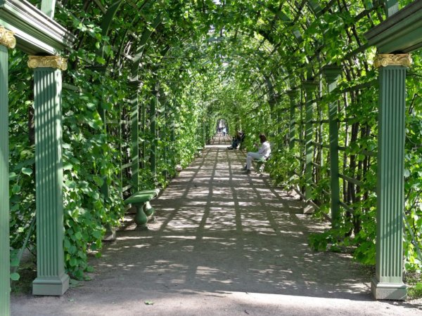 Аллеи летнего сада в Санкт-Петербурге