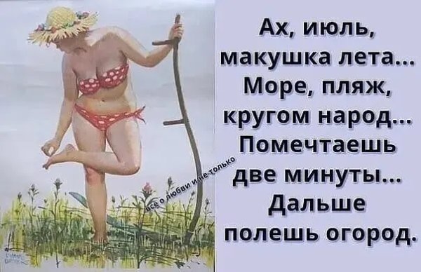 Анекдоты про лето в картинках