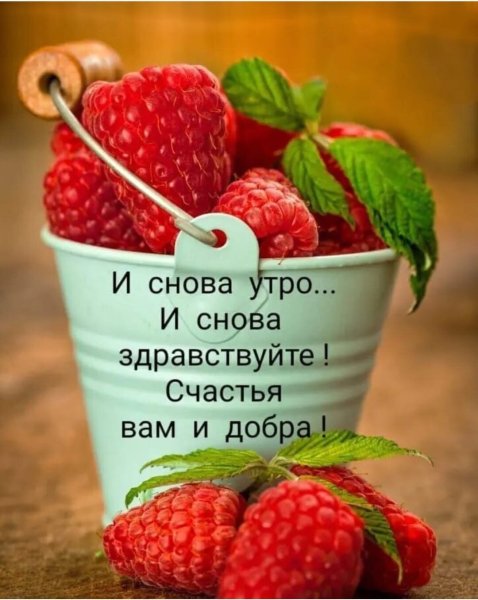 С добрым летним утром