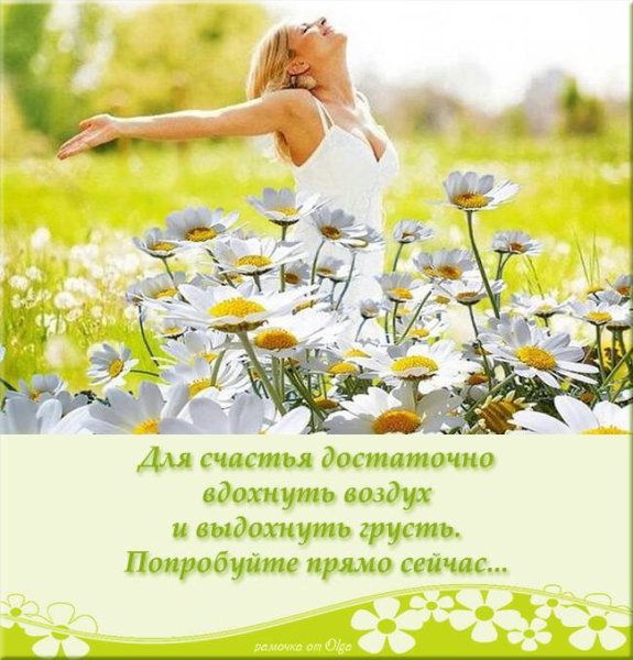Солнечного радостного дня