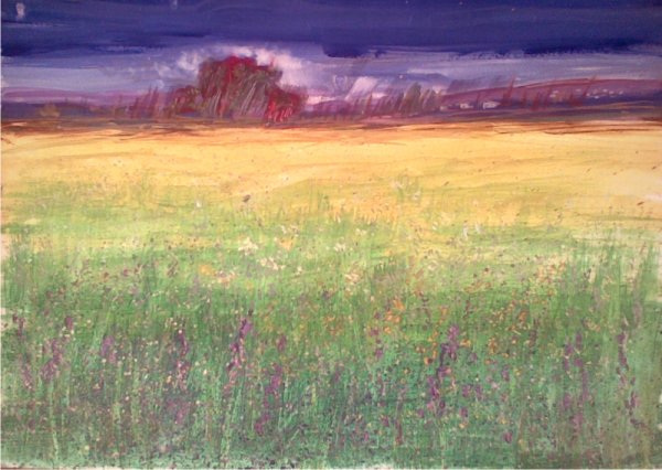 Гроза и дождь