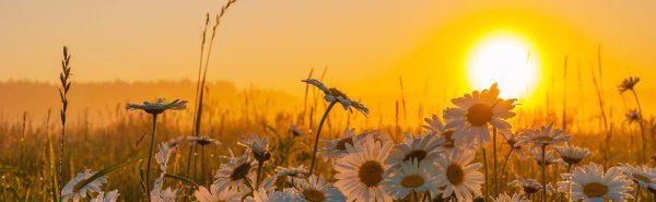 Молния оь=бои