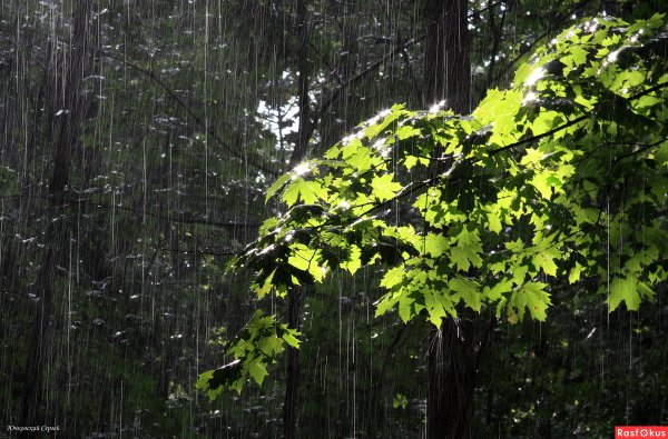 Джон Линнелл картины гроза