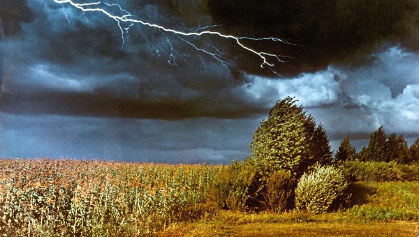 Весна гроза