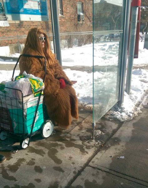 Летом в шубе прикол