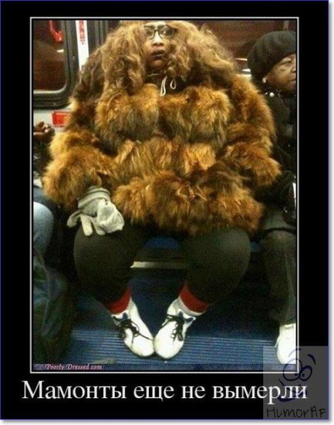 Смешная шуба