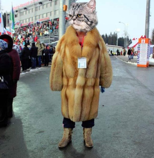 Одетые не по погоде