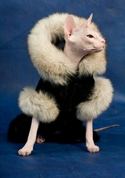 Отпуск зимой