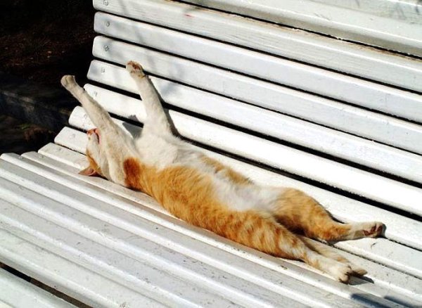 Приколы про лето