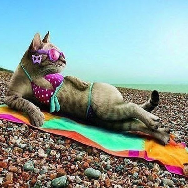 Скоро на море