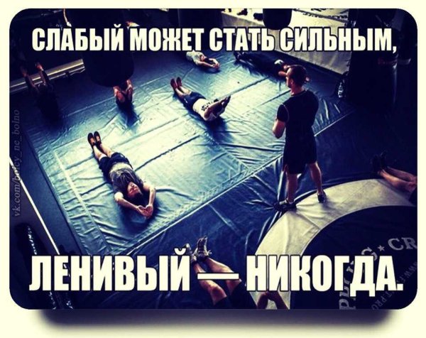 Прикольные цитаты про тренировку