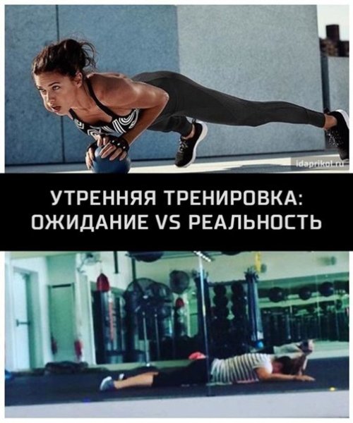 Шутки про тренировки