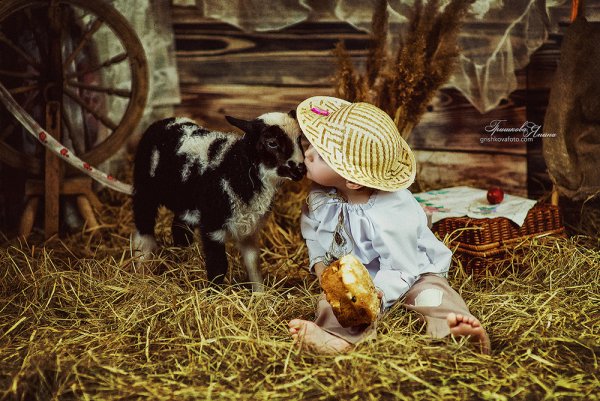 Доброе утро в деревне