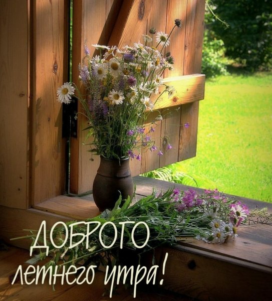 Раннее утро в деревне