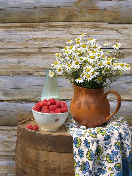 Владимир Жданов живопись деревня