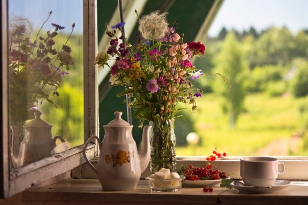 Вячеслав палачев картины