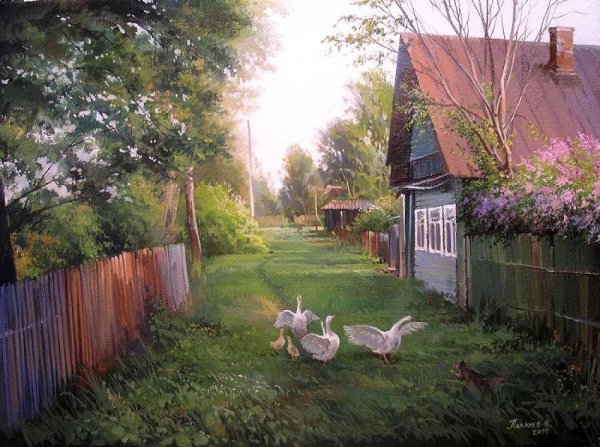 Космея Бабушкин палисадник