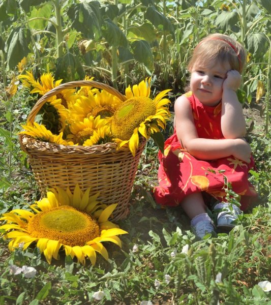 Фотосессия в подсолнухах семейная