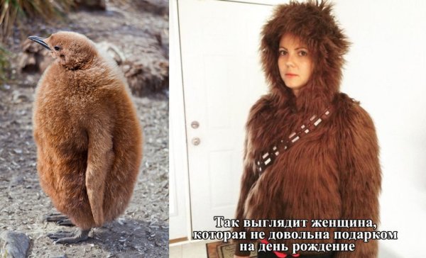 Костюм для всей семьи меховой прикол