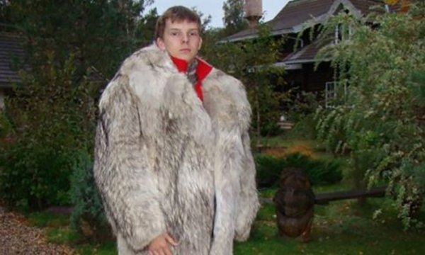 Шуба из плюшевых мишек