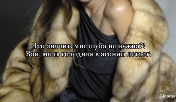 Лето в шубе прикол