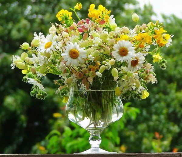 Букет полевых цветов и земляники