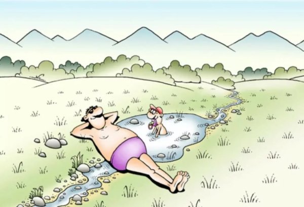 Летние карикатуры