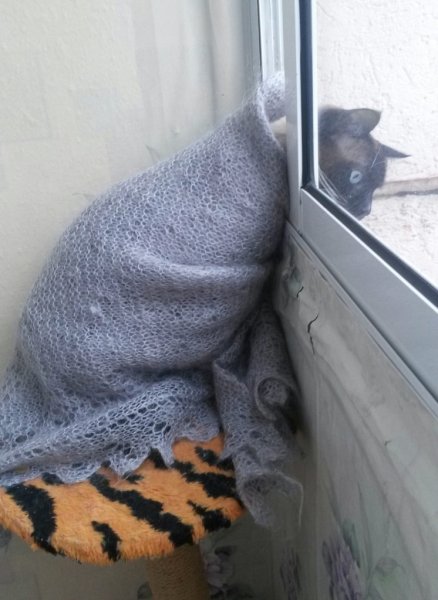 Жара зимой