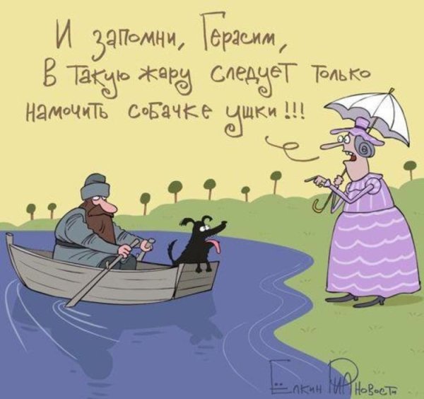 Шутки про жару в картинках