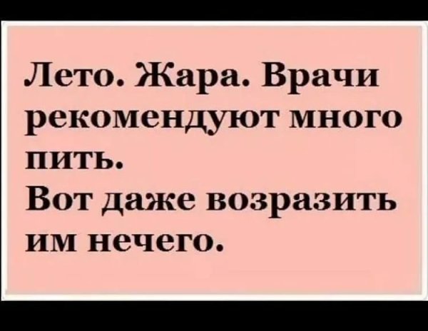 Смешные высказывания про жару