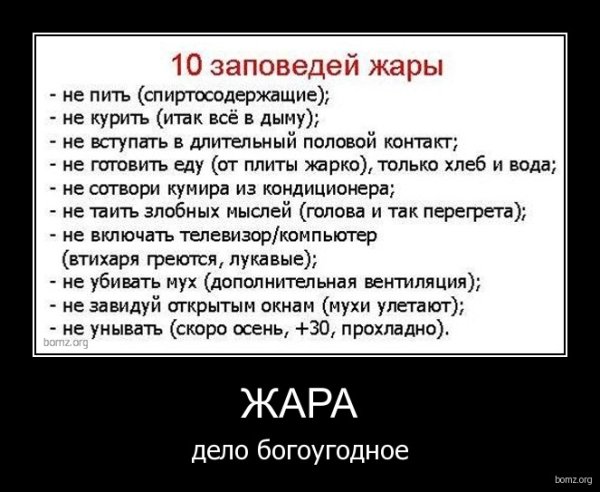 Смешные приколы про жару
