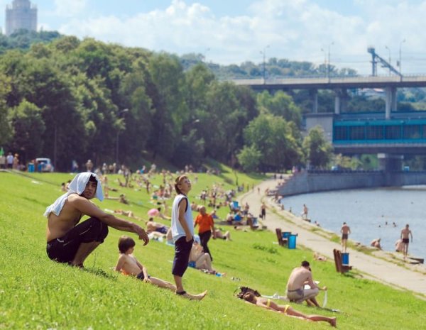 Картинки демотиваторы смешные