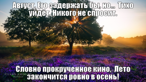 Цитаты про лето август